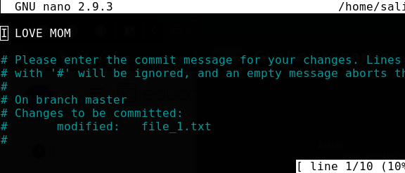 A console screenshot of a git commit message